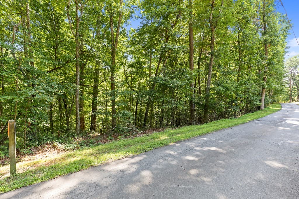 LOT 36 Timberwalk Drive, Ellijay GA 30540 - Photo