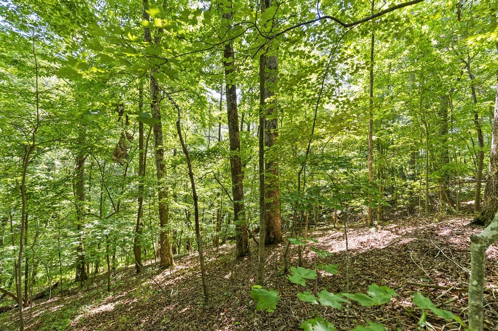 LOT 36 Timberwalk Drive, Ellijay GA 30540 - Photo
