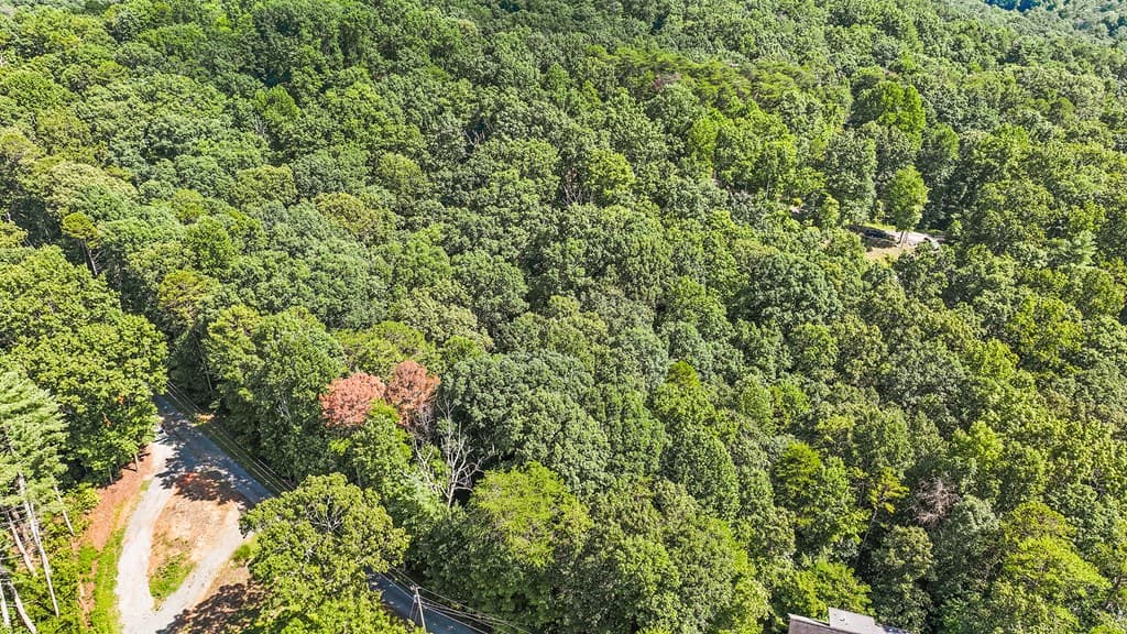 LOT 36 Timberwalk Drive, Ellijay GA 30540 - Photo