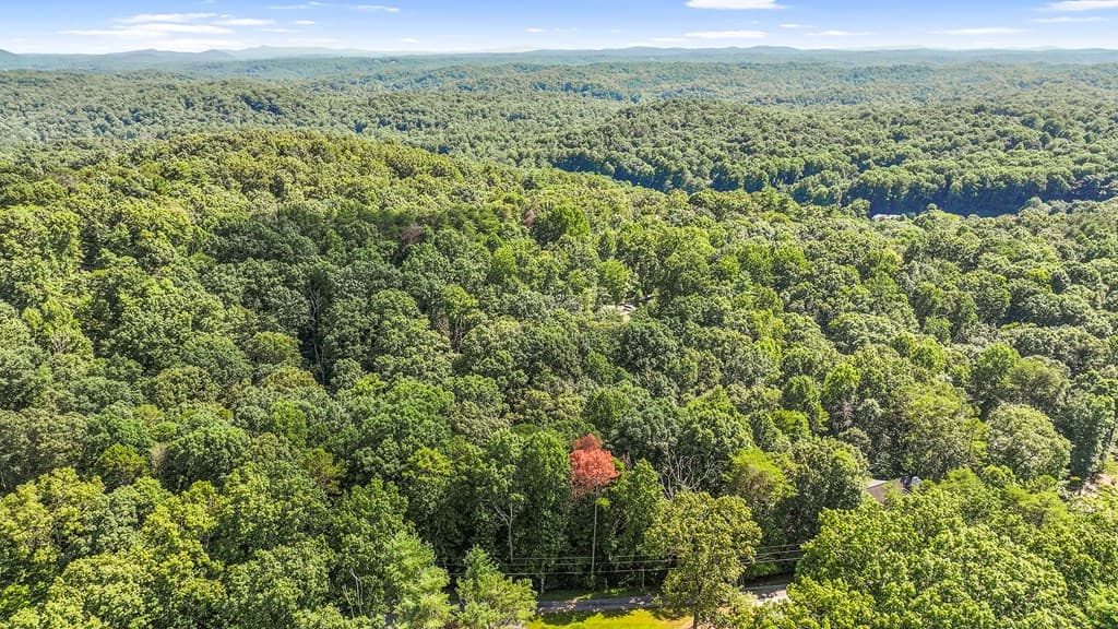 LOT 36 Timberwalk Drive, Ellijay GA 30540 - Photo