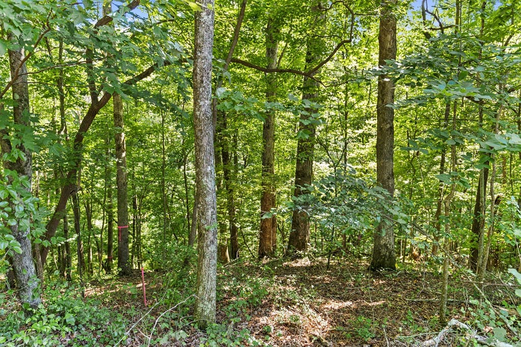 LOT 36 Timberwalk Drive, Ellijay GA 30540 - Photo