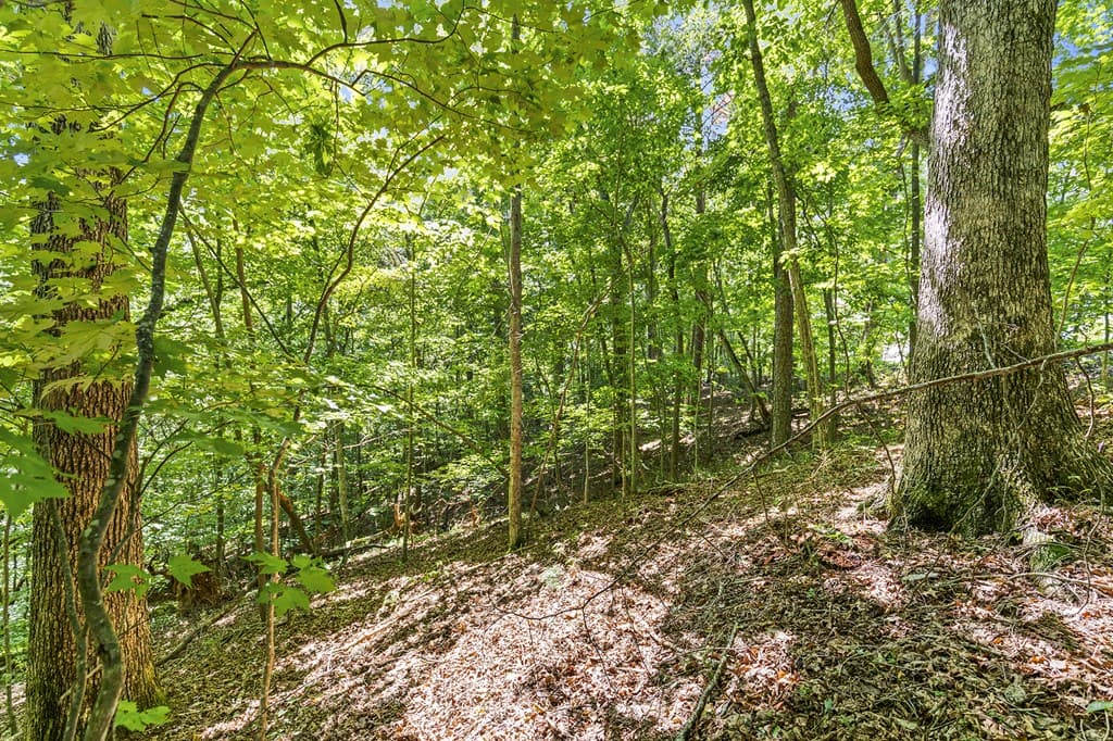 LOT 36 Timberwalk Drive, Ellijay GA 30540 - Photo