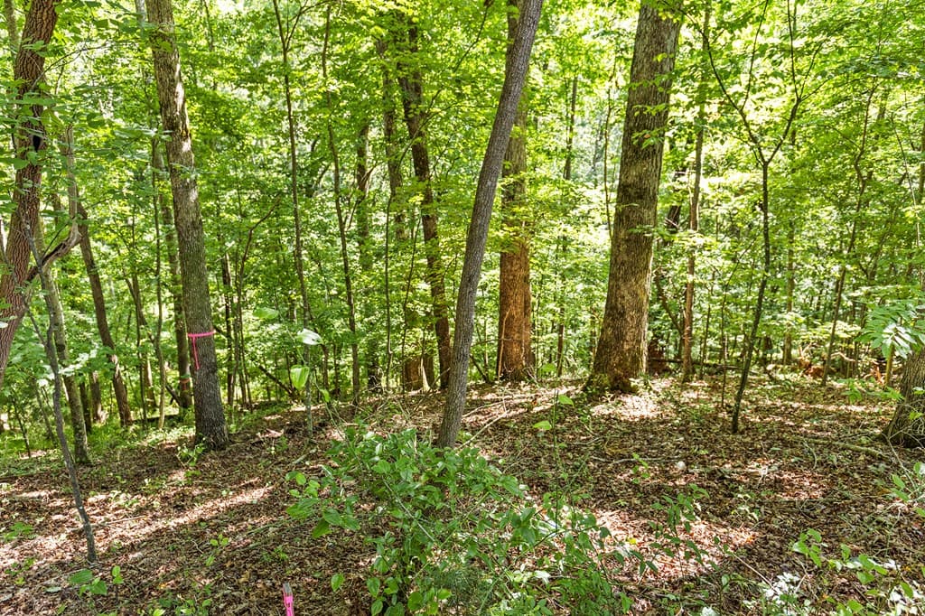 LOT 36 Timberwalk Drive, Ellijay GA 30540 - Photo