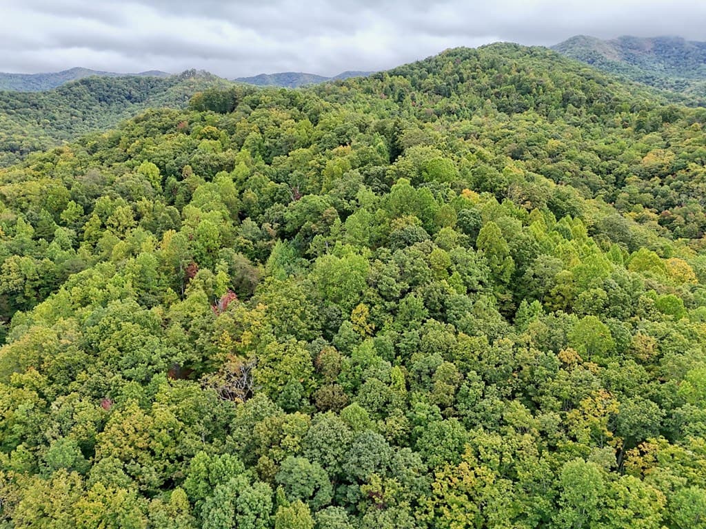 Lot 1 Skyview Drive, Hayesville NC 28904 - Photo