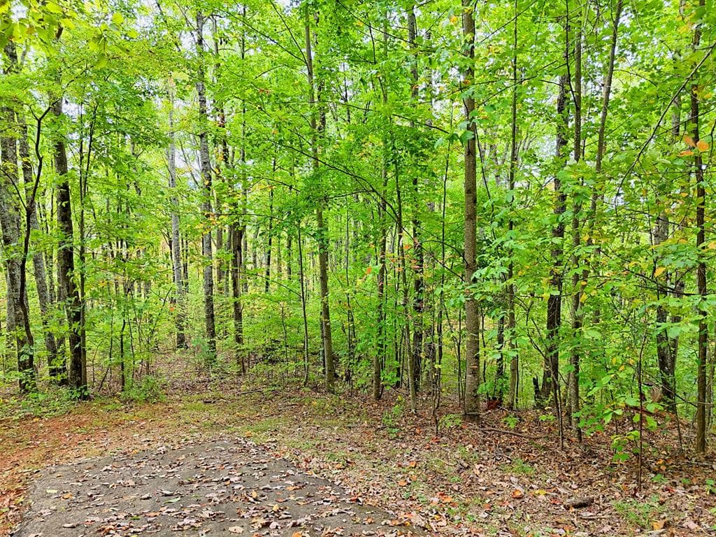 Lot 1 Skyview Drive, Hayesville NC 28904 - Primary photo