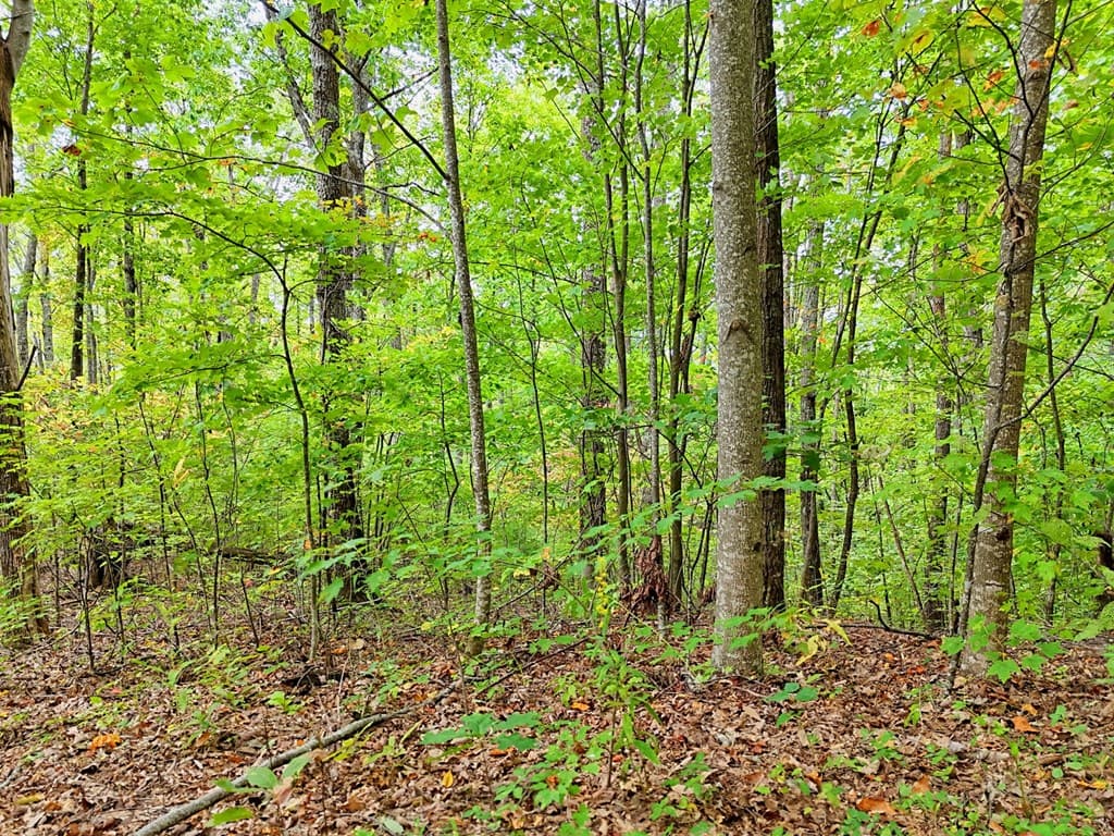 Lot 1 Skyview Drive, Hayesville NC 28904 - Photo