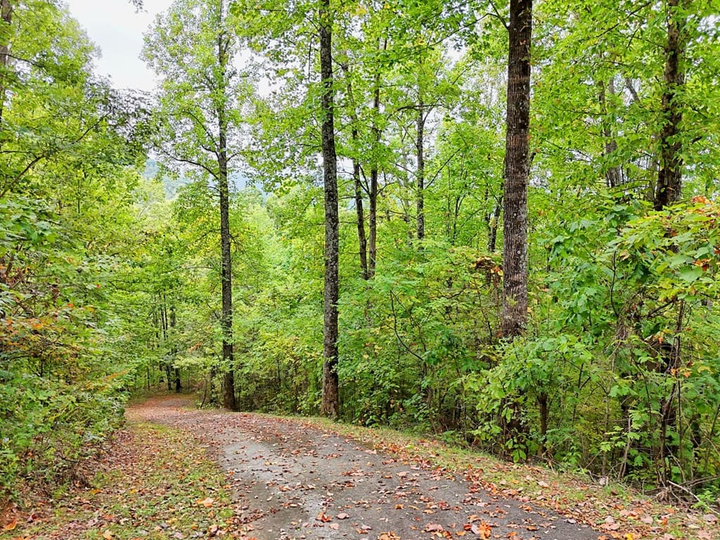 Lot 1 Skyview Drive, Hayesville NC 28904 - Photo