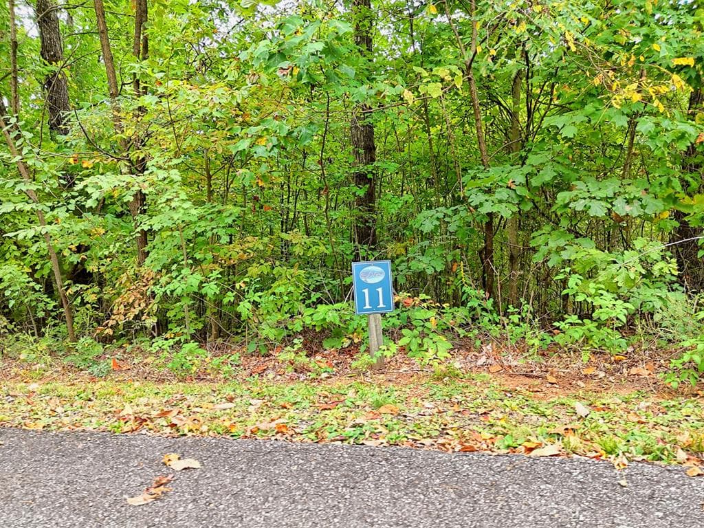 Lot 11 Skyview Drive, Hayesville NC 28904 - Primary photo