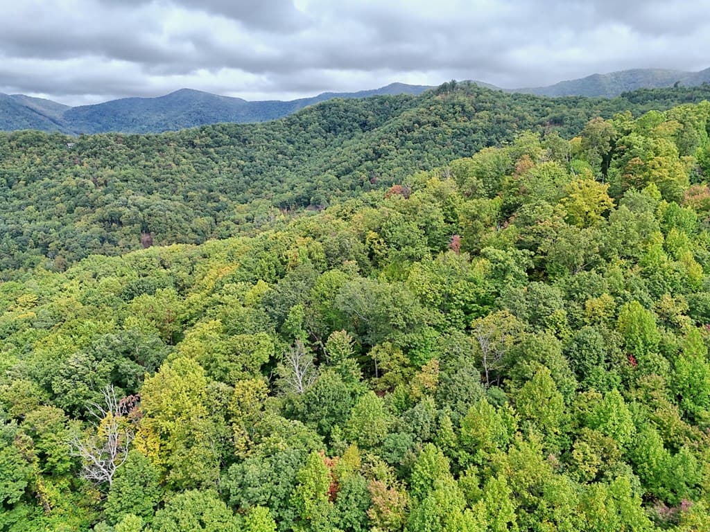 Lot 21 Skyview Overlook, Hayesville NC 28904 - Photo