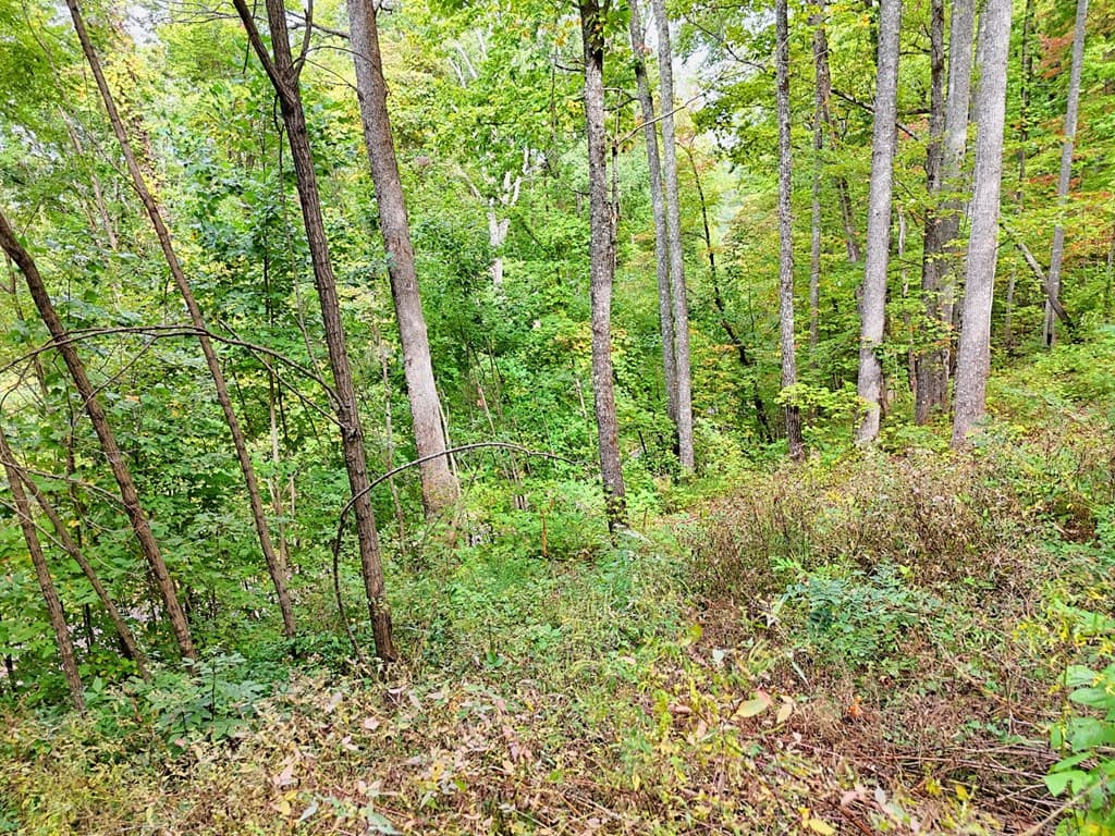 Lot 21 Skyview Overlook, Hayesville NC 28904 - Photo