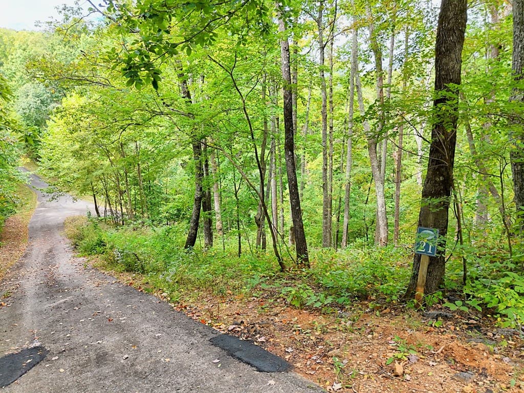Lot 21 Skyview Overlook, Hayesville NC 28904 - Photo