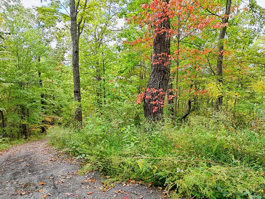 Lot 23 Skyview Overlook, Hayesville NC 28904 - Primary photo