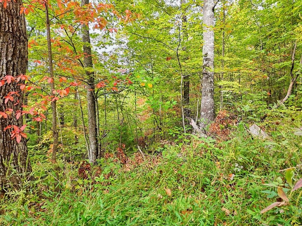 Lot 23 Skyview Overlook, Hayesville NC 28904 - Photo