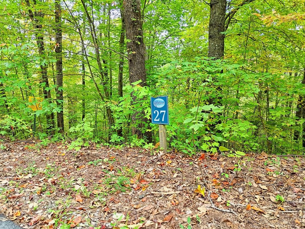 Lot 27 Skyview Drive, Hayesville NC 28904 - Primary photo