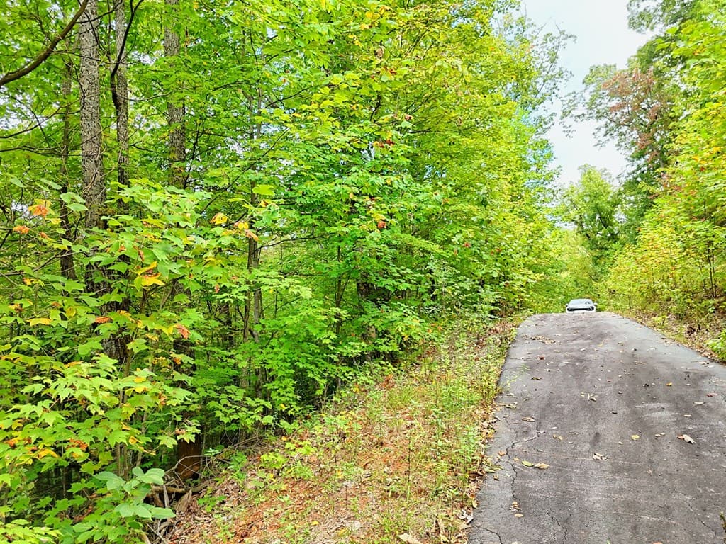 Lot 28 Skyview Drive, Hayesville NC 28904 - Photo
