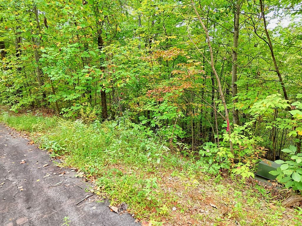 Lot 28 Skyview Drive, Hayesville NC 28904 - Photo