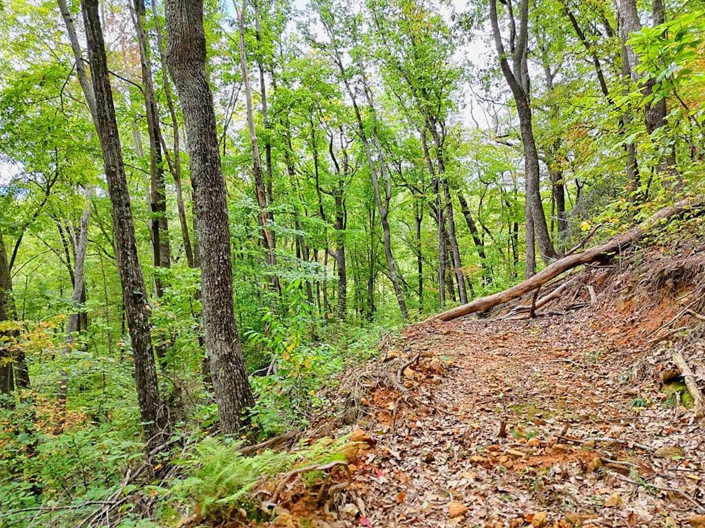 Lot 30 Skyview Drive, Hayesville NC 28904 - Photo