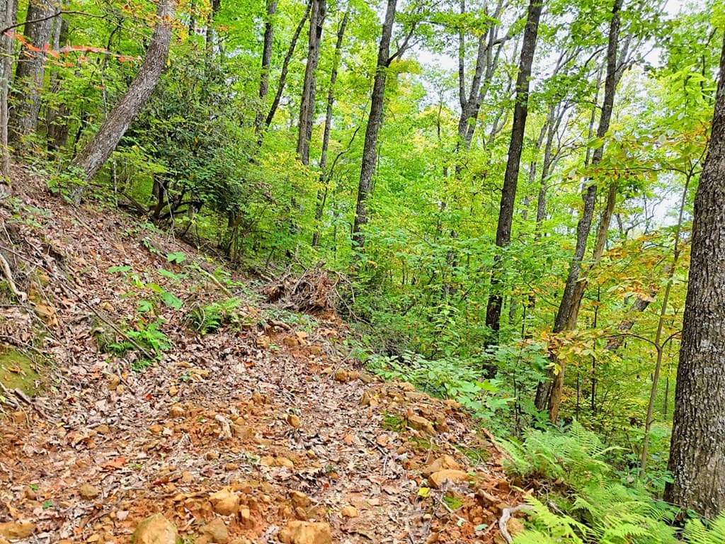Lot 30 Skyview Drive, Hayesville NC 28904 - Photo