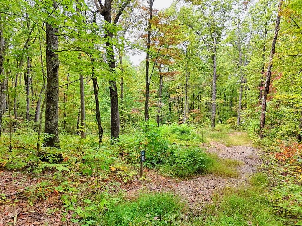 Lot 30 Skyview Drive, Hayesville NC 28904 - Primary photo