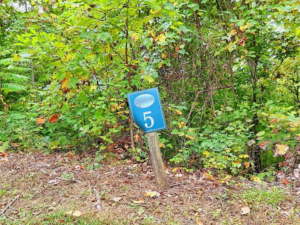 Lot 5 Skyview Drive, Hayesville NC 28904 - Primary photo