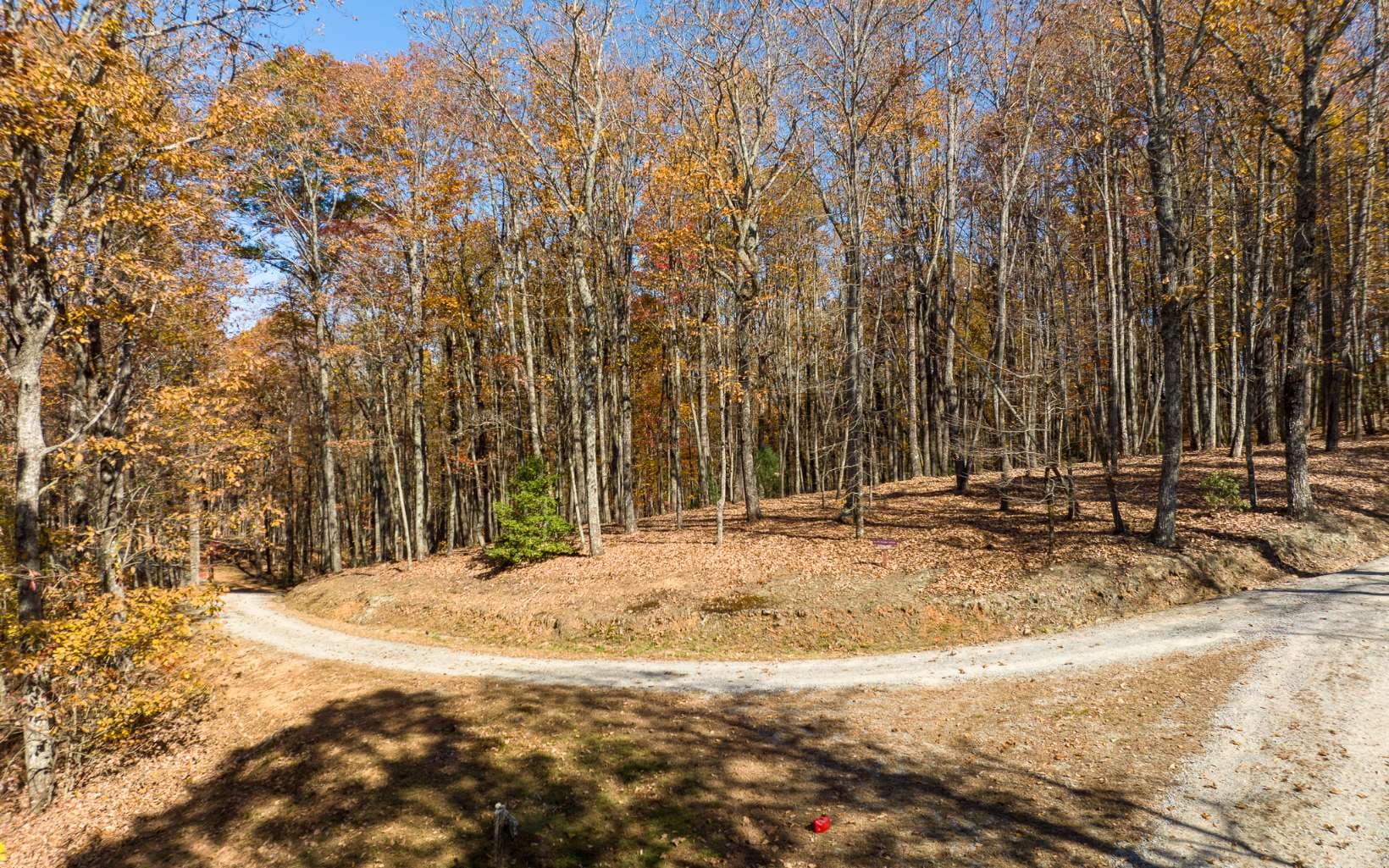 Lot 17R Tanager Trail, Ellijay GA 30536 - Photo