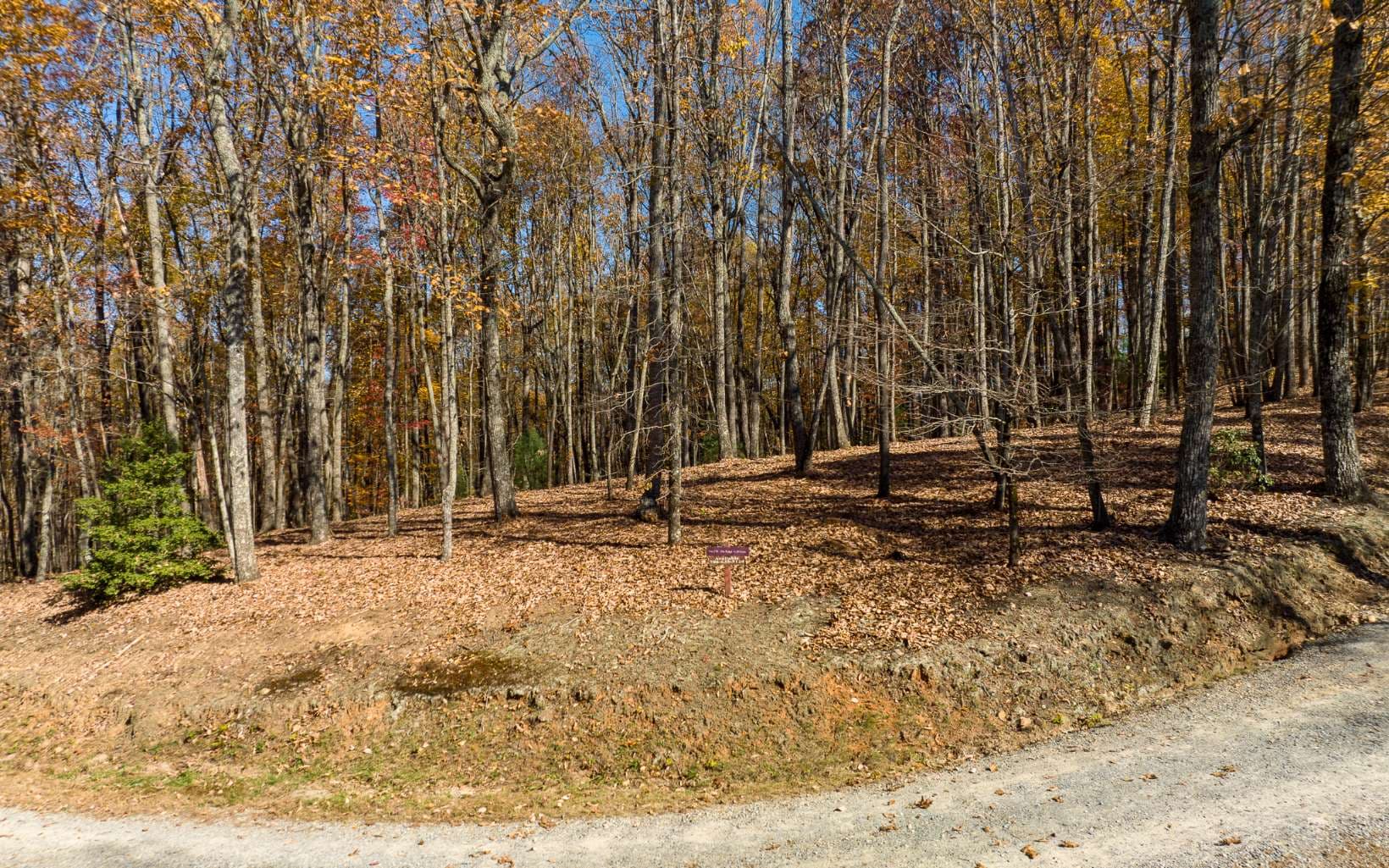 Lot 17R Tanager Trail, Ellijay GA 30536 - Photo