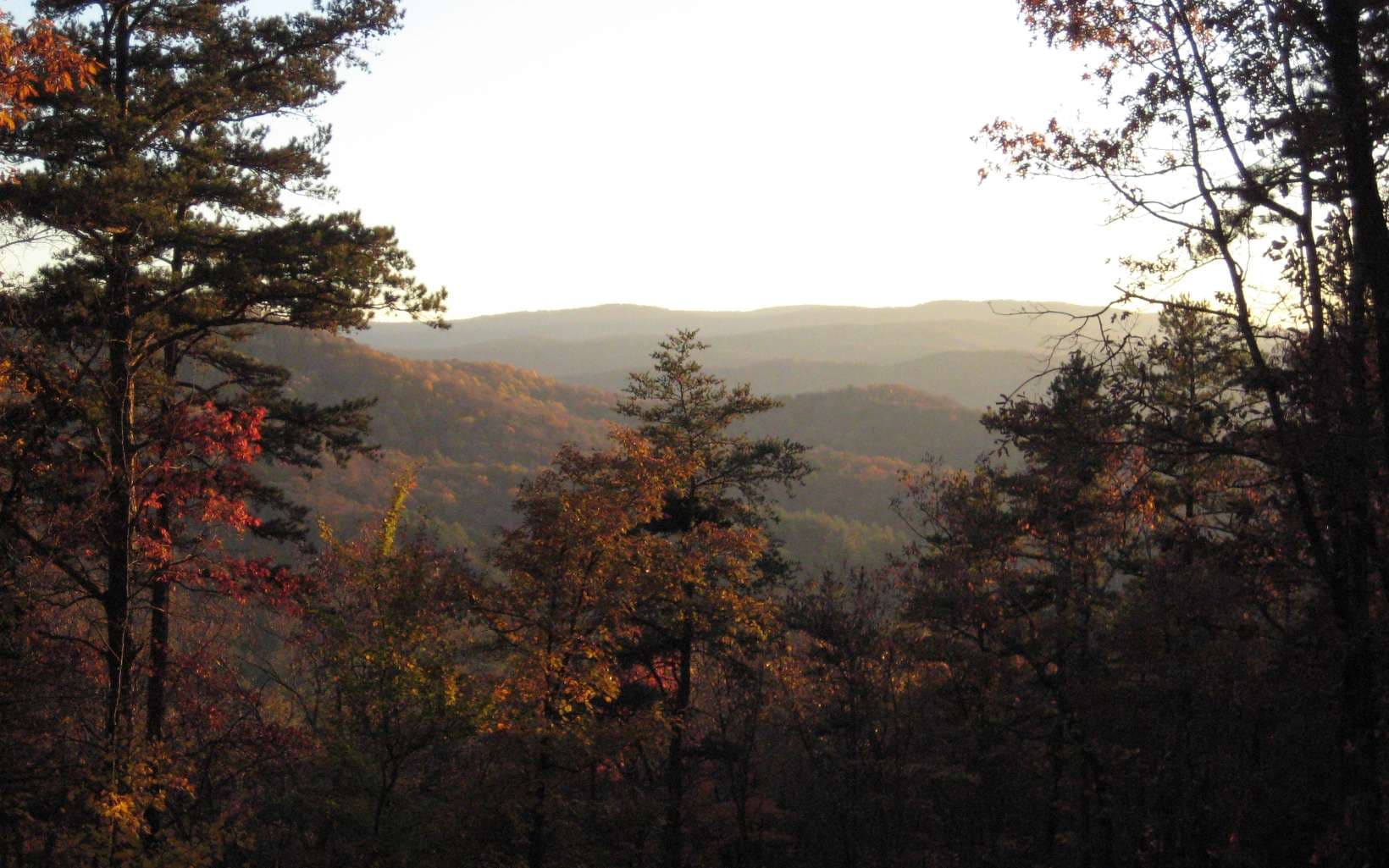 Lot 17R Tanager Trail, Ellijay GA 30536 - Photo