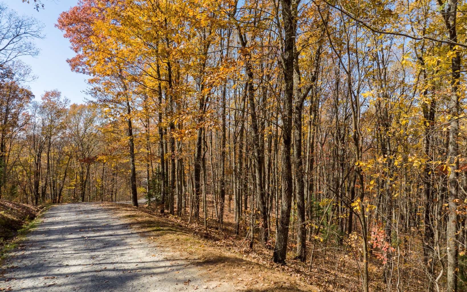 Lot 17R Tanager Trail, Ellijay GA 30536 - Photo
