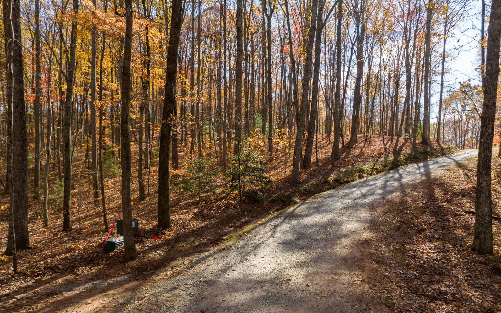 Lot 17R Tanager Trail, Ellijay GA 30536 - Photo