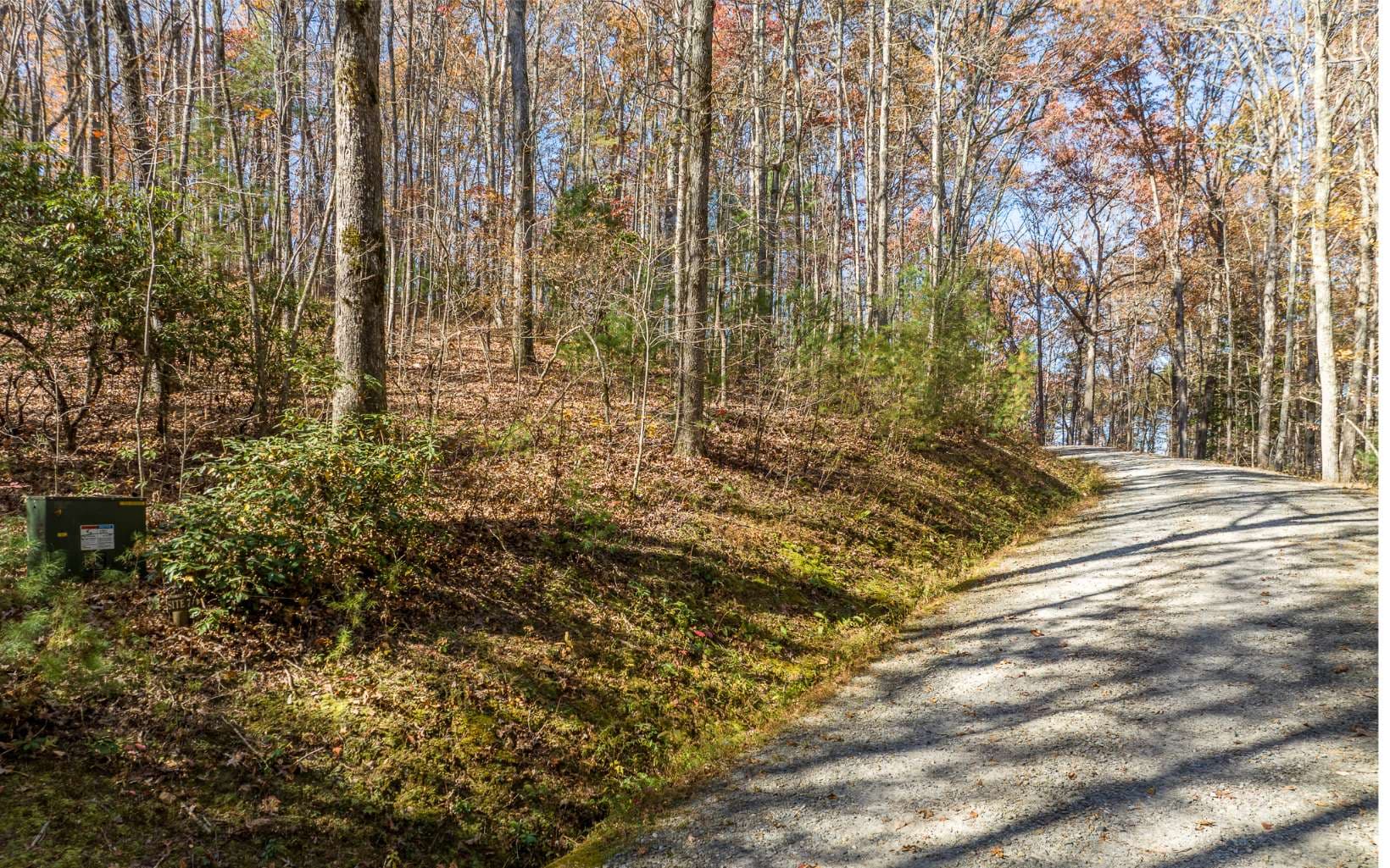 LOT 7 Joseph Anderson Trail, Ellijay GA 30536 - Photo