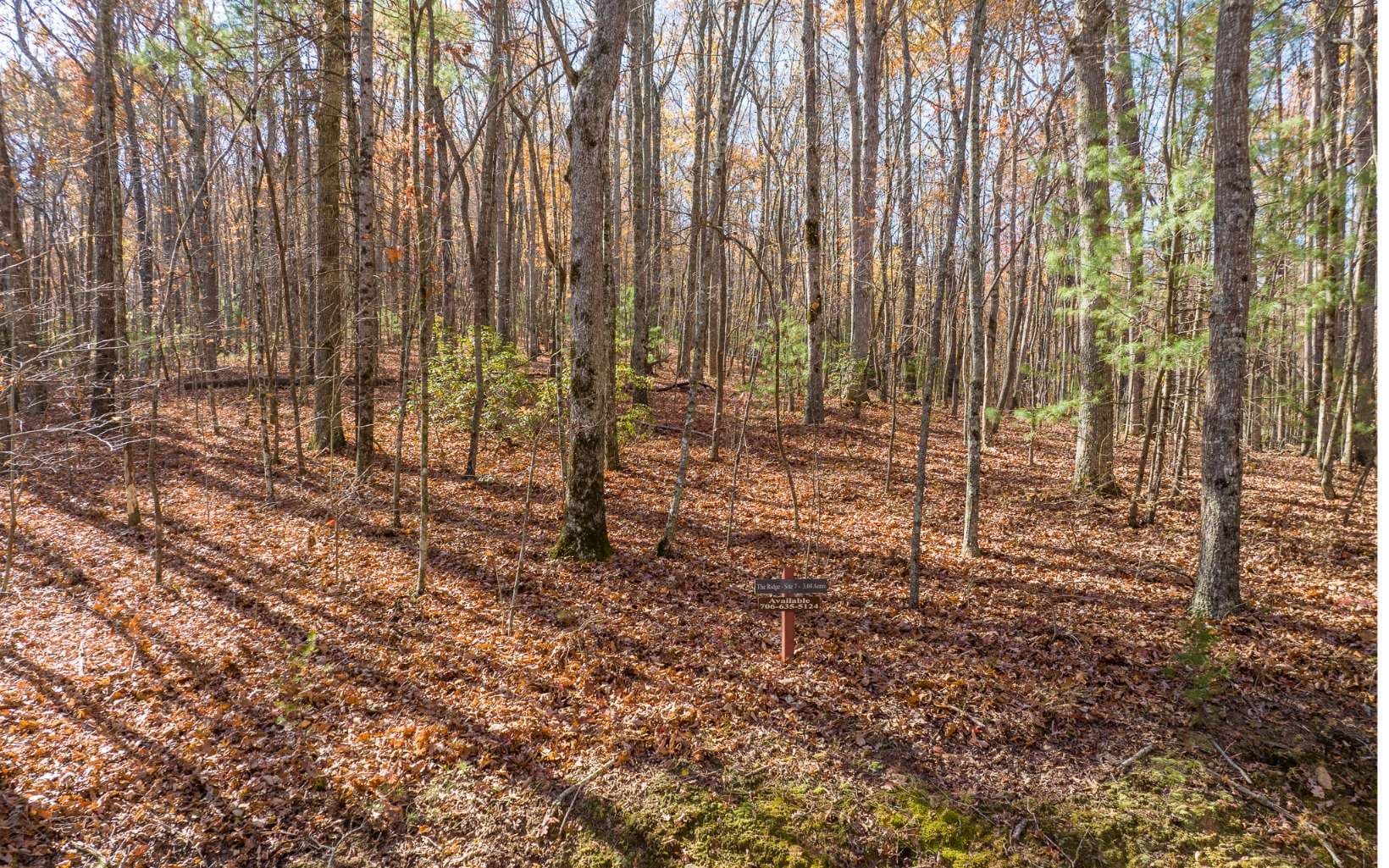 LOT 7 Joseph Anderson Trail, Ellijay GA 30536 - Photo