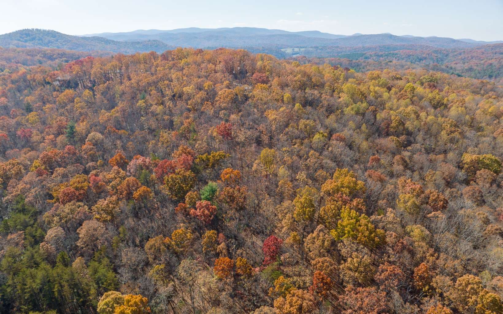 LOT 7 Joseph Anderson Trail, Ellijay GA 30536 - Photo
