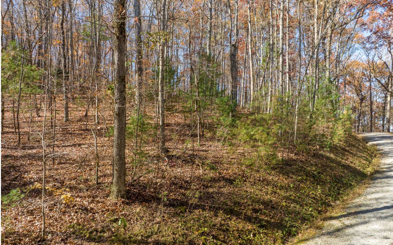 LOT 7 Joseph Anderson Trail, Ellijay GA 30536 - Photo