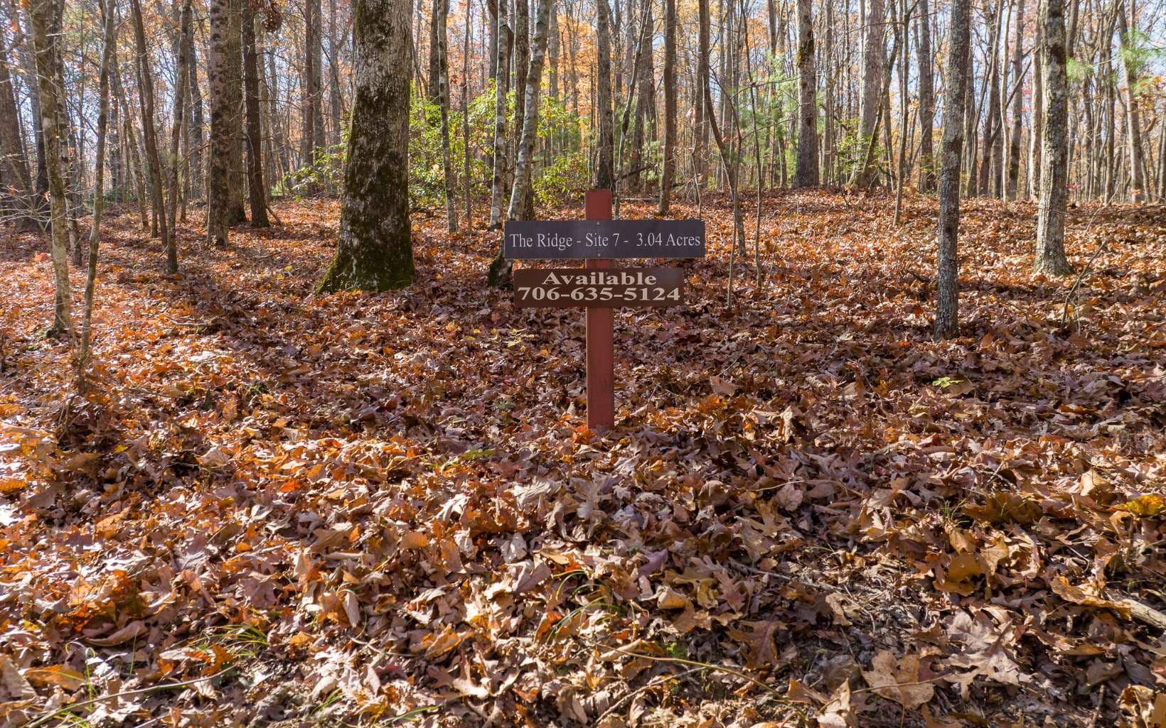 LOT 7 Joseph Anderson Trail, Ellijay GA 30536 - Primary photo