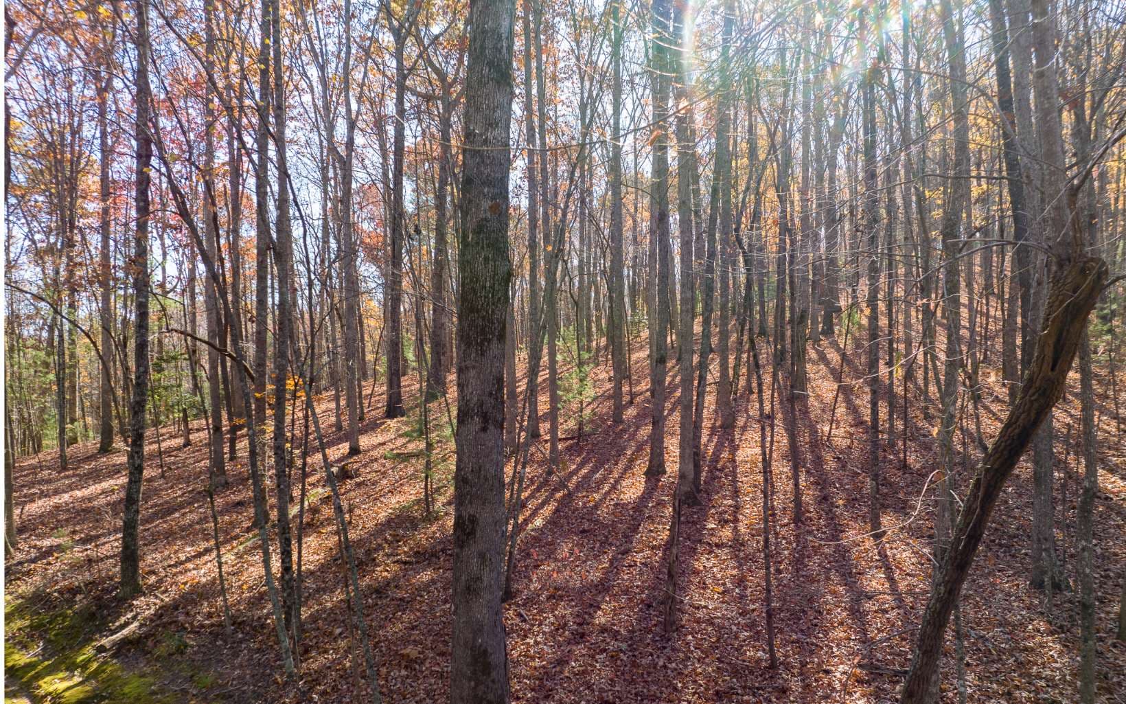 LOT 7 Joseph Anderson Trail, Ellijay GA 30536 - Photo