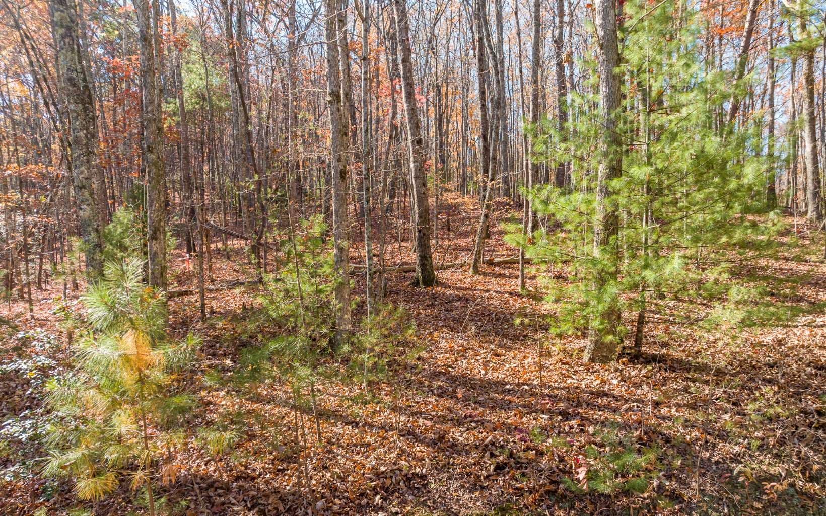 LOT 7 Joseph Anderson Trail, Ellijay GA 30536 - Photo