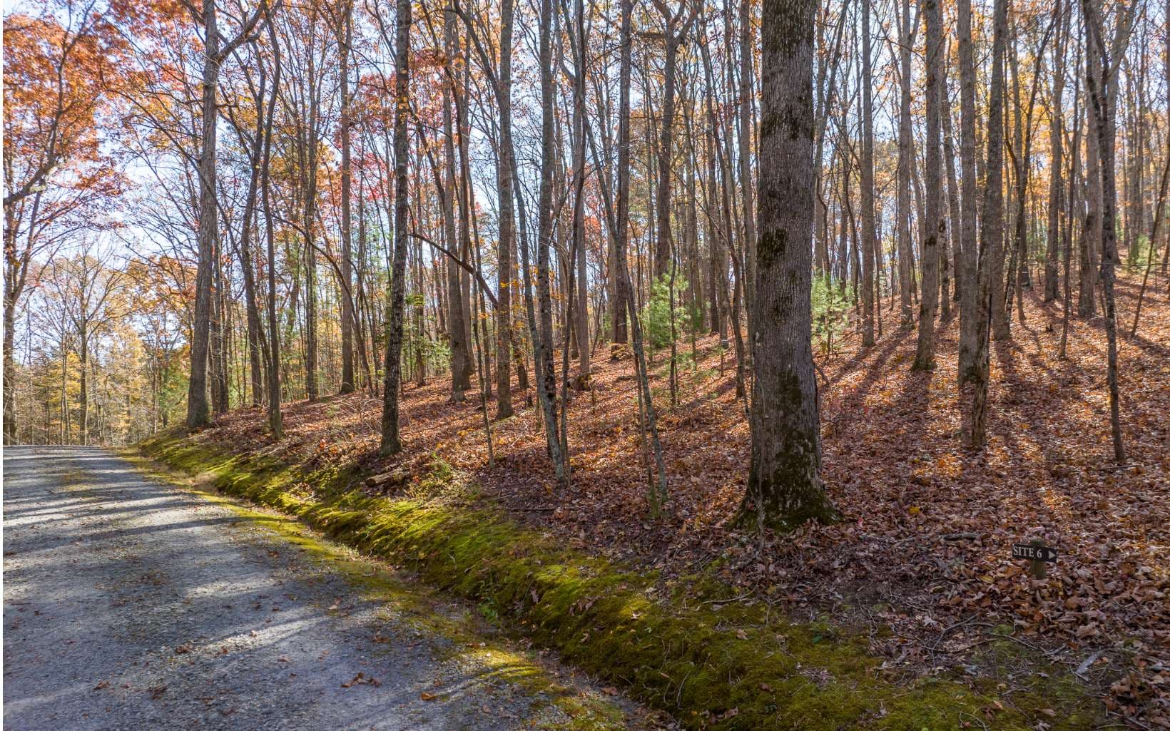LOT 7 Joseph Anderson Trail, Ellijay GA 30536 - Photo