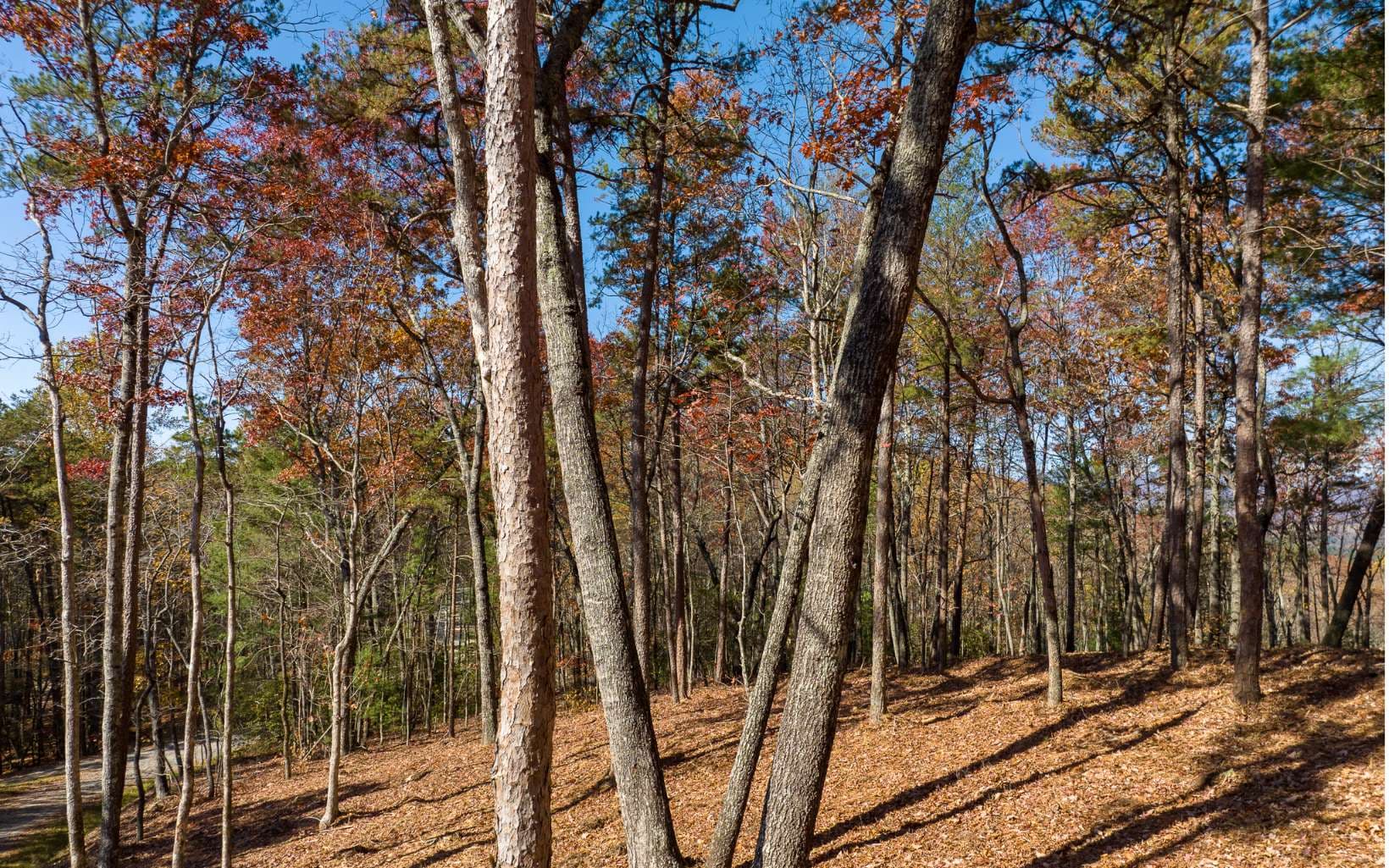 LOT 39 Preserve Trail, Ellijay GA 30536 - Photo