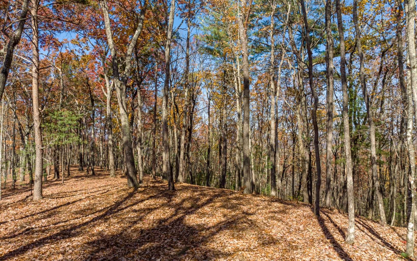 LOT 39 Preserve Trail, Ellijay GA 30536 - Photo