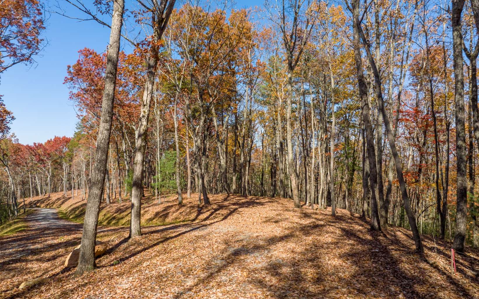 LOT 39 Preserve Trail, Ellijay GA 30536 - Photo