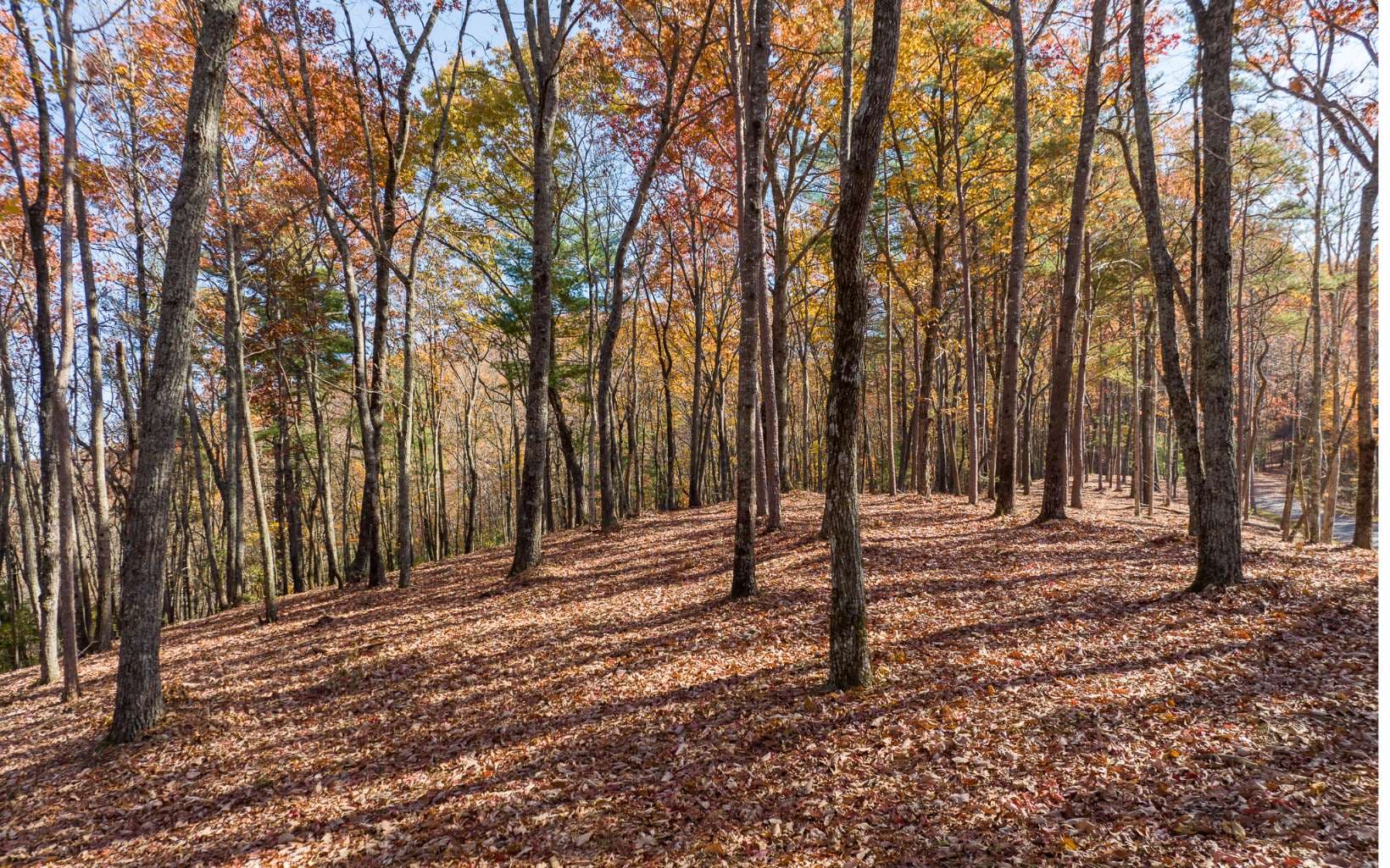 LOT 39 Preserve Trail, Ellijay GA 30536 - Photo