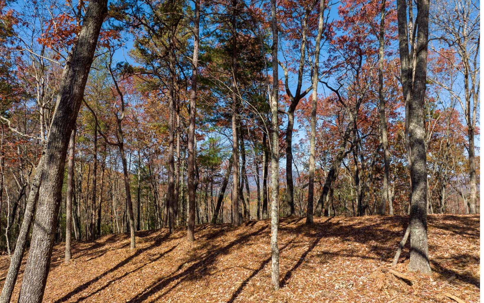 LOT 39 Preserve Trail, Ellijay GA 30536 - Primary photo