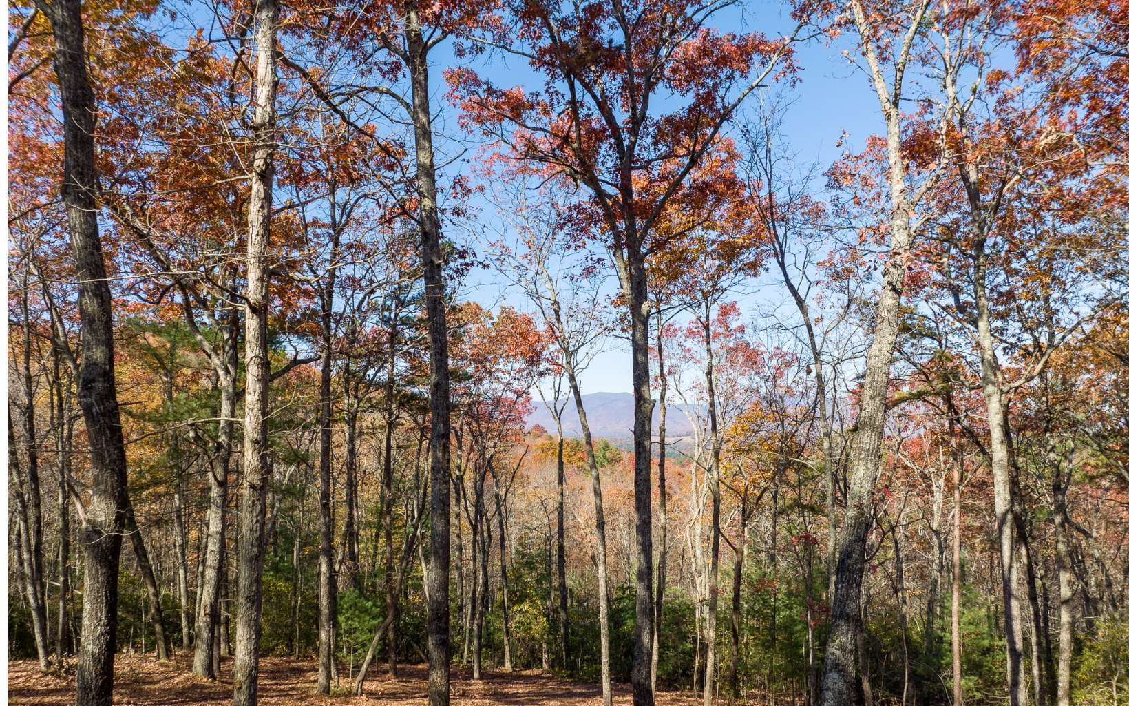 LOT 39 Preserve Trail, Ellijay GA 30536 - Photo