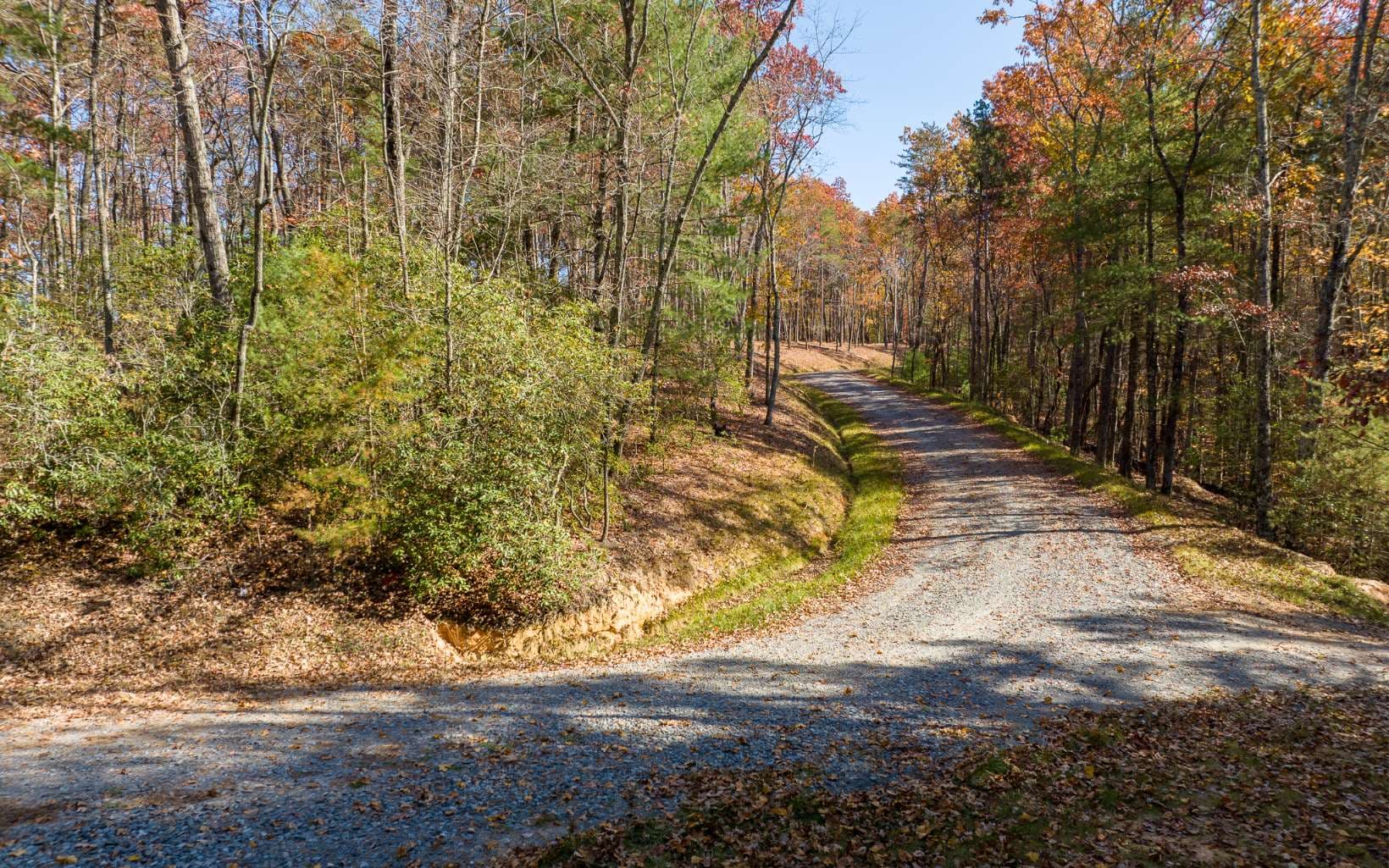 LOT 39 Preserve Trail, Ellijay GA 30536 - Photo