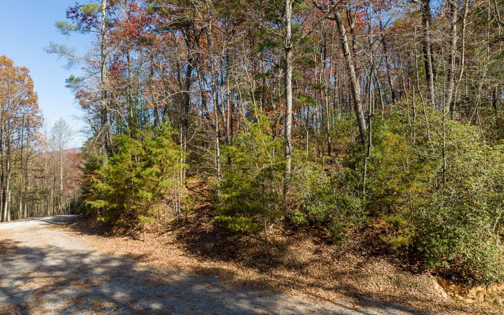 LOT 39 Preserve Trail, Ellijay GA 30536 - Photo