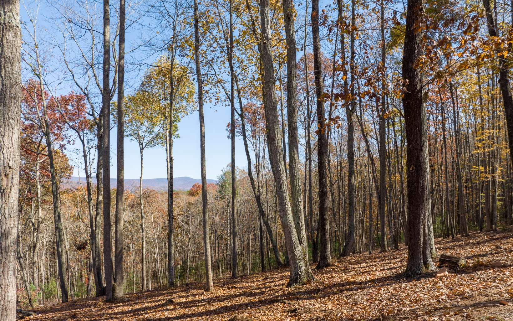 19R Settlement Trail, Ellijay GA 30536 - Photo
