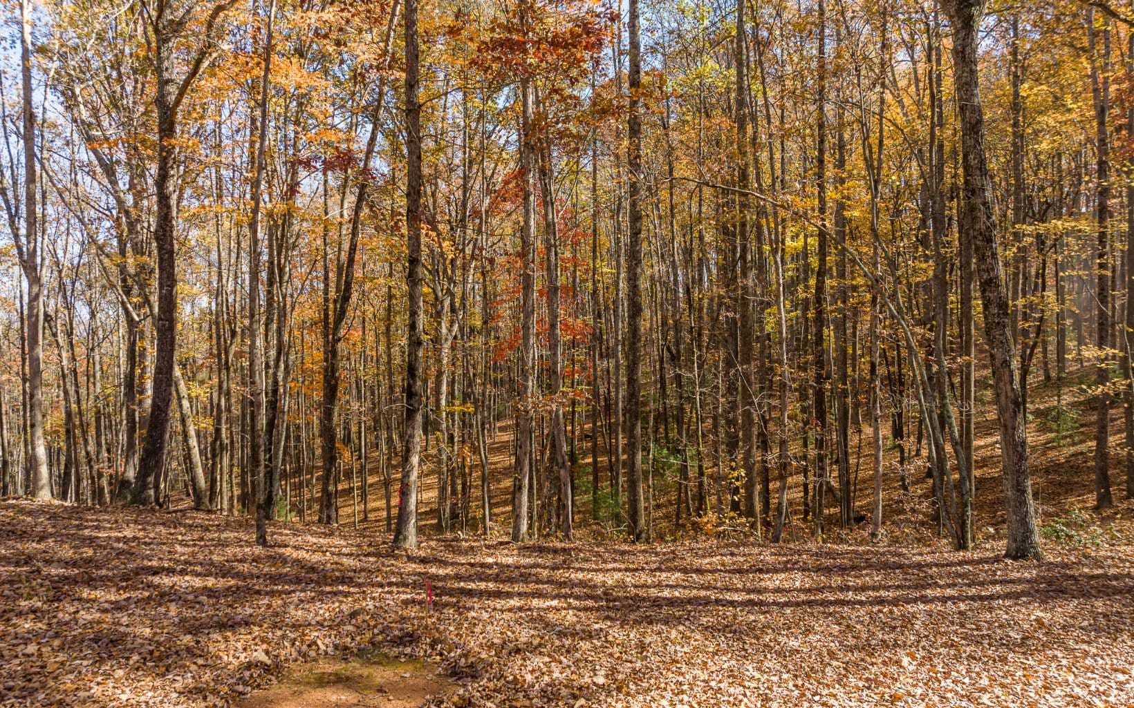 19R Settlement Trail, Ellijay GA 30536 - Photo