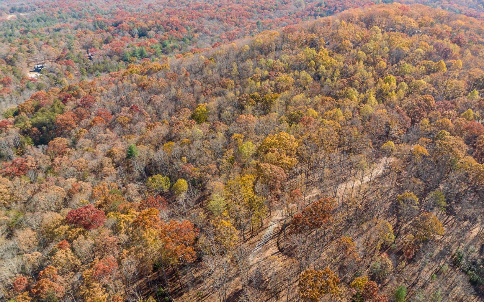 19R Settlement Trail, Ellijay GA 30536 - Photo