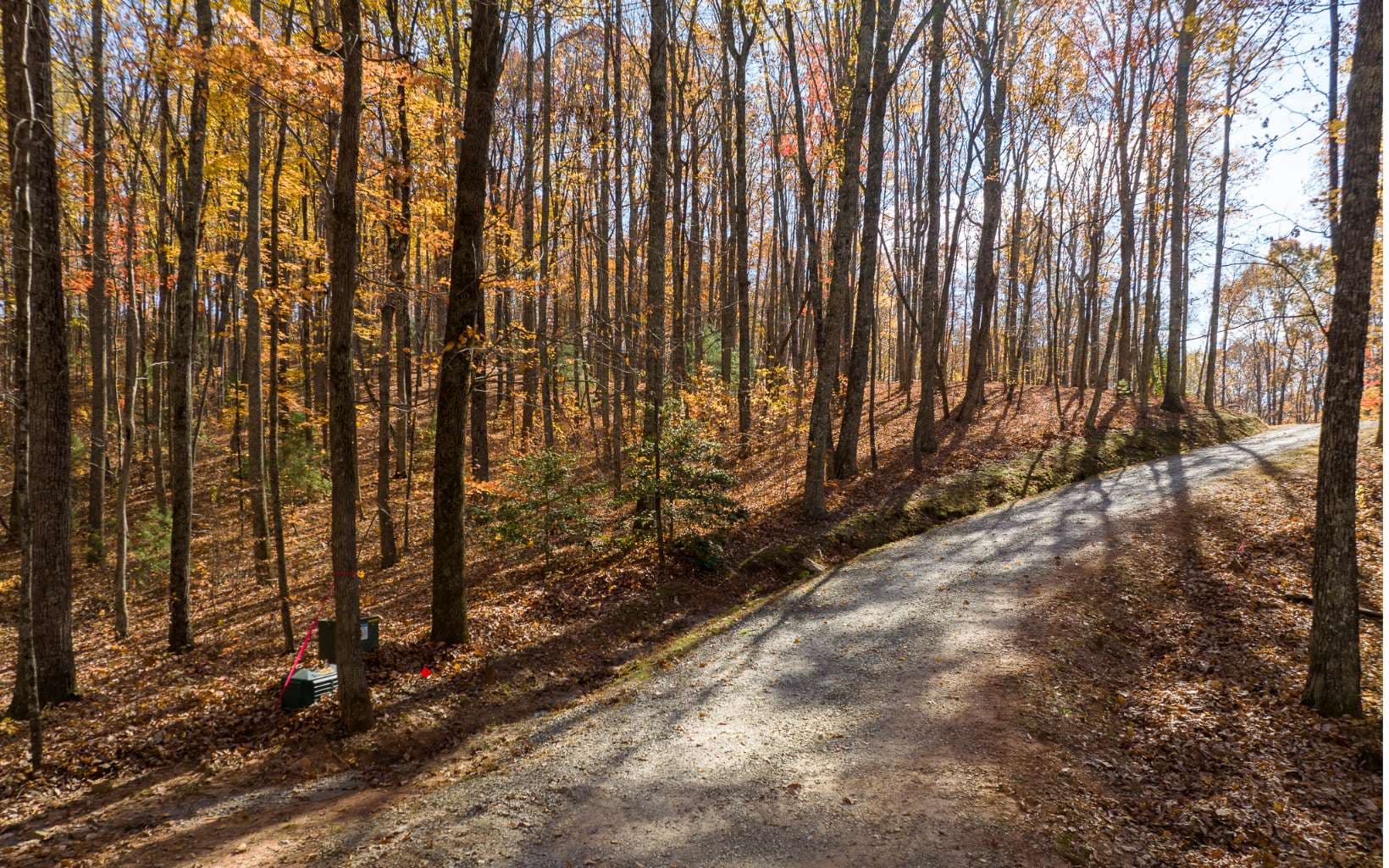 19R Settlement Trail, Ellijay GA 30536 - Photo