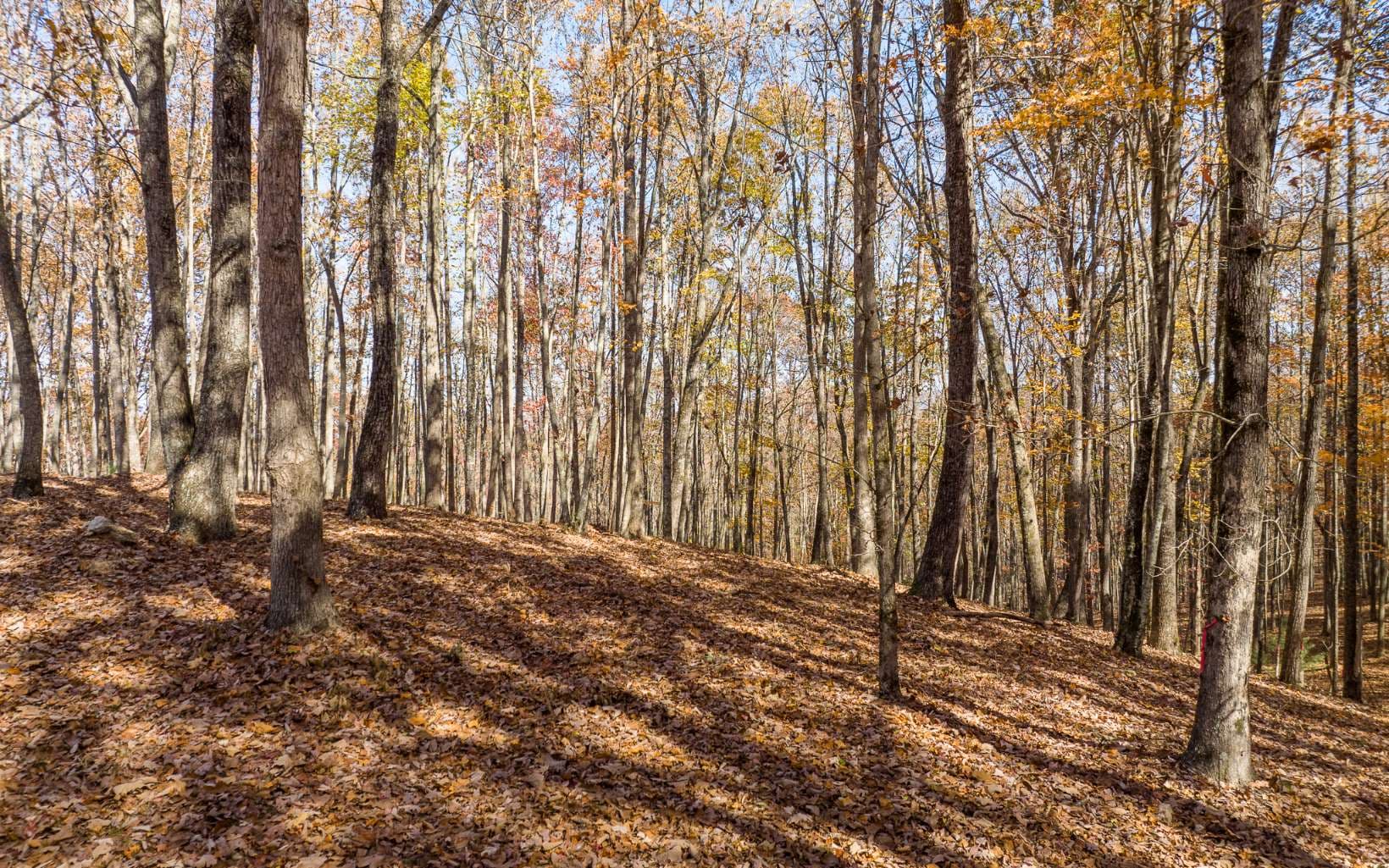 19R Settlement Trail, Ellijay GA 30536 - Photo
